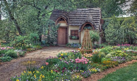 Uncover the enchanting beauty of a magical cottage in the bog